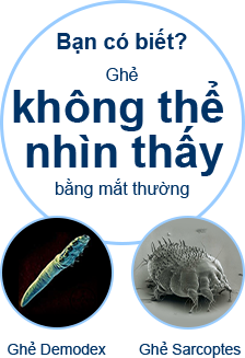 Bạn có biết